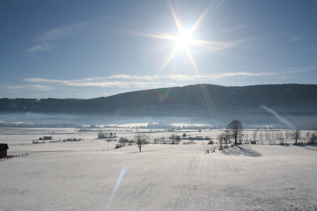 Lassacher Biobauernhof Mariapfarr Cameră foto